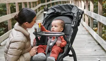 Uppababy Ridge Snack Tray - 3